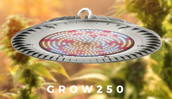Grow-251